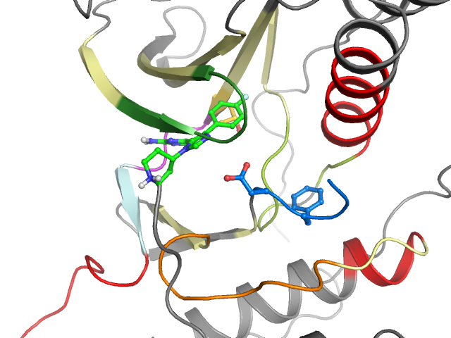The orthosteric binding pocket
