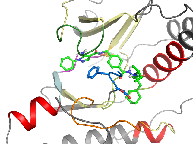 The orthosteric binding pocket