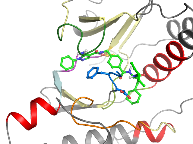 The orthosteric binding pocket