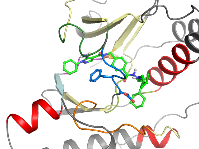 The orthosteric binding pocket