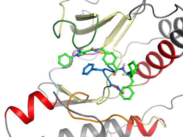 The orthosteric binding pocket