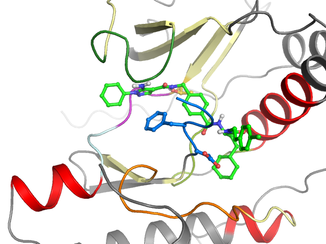 The orthosteric binding pocket