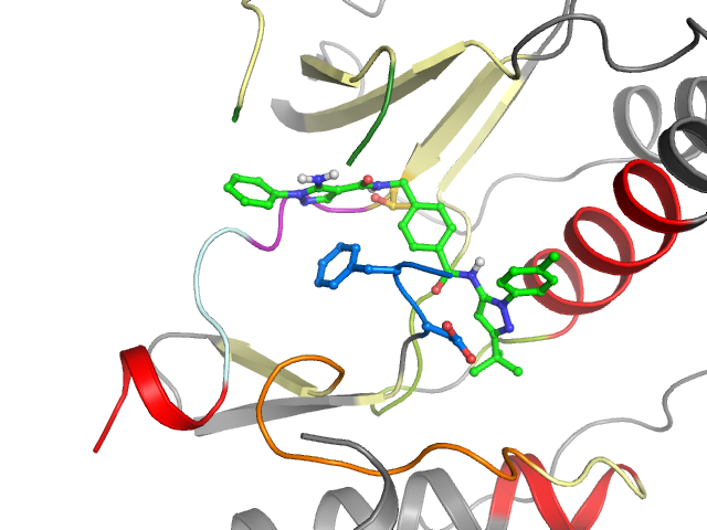 The orthosteric binding pocket