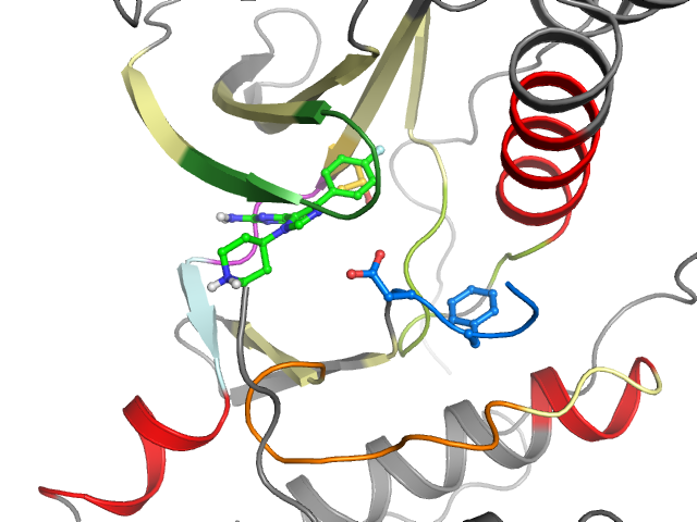 The orthosteric binding pocket