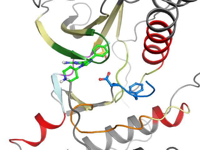 The orthosteric binding pocket