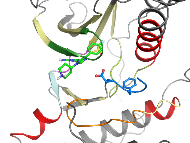 The orthosteric binding pocket