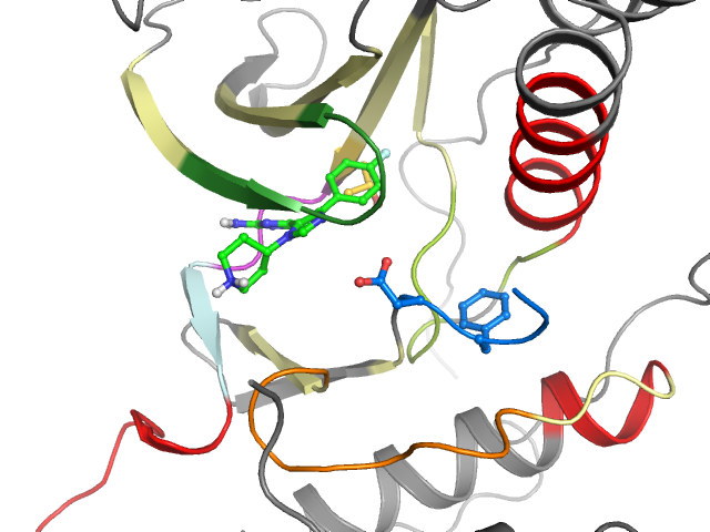 The orthosteric binding pocket