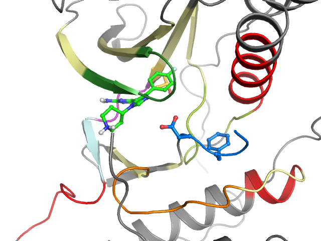 The orthosteric binding pocket