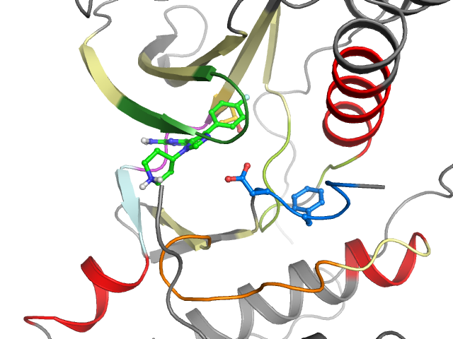 The orthosteric binding pocket