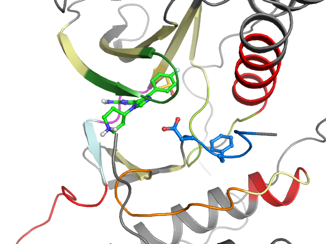 The orthosteric binding pocket