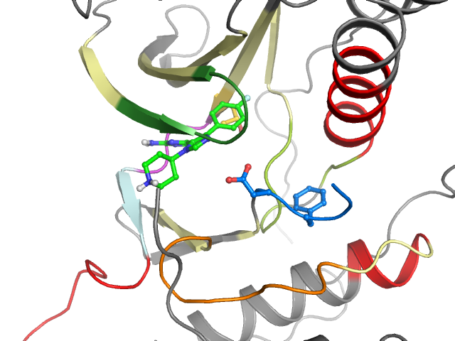The orthosteric binding pocket