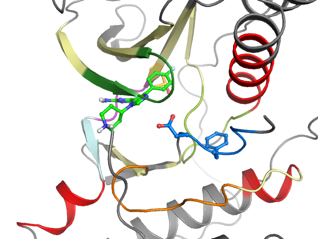 The orthosteric binding pocket