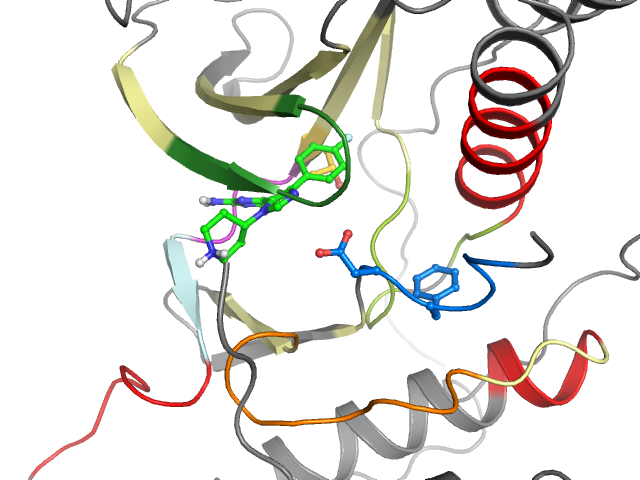 The orthosteric binding pocket