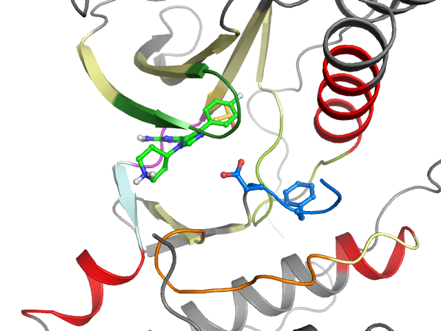 The orthosteric binding pocket
