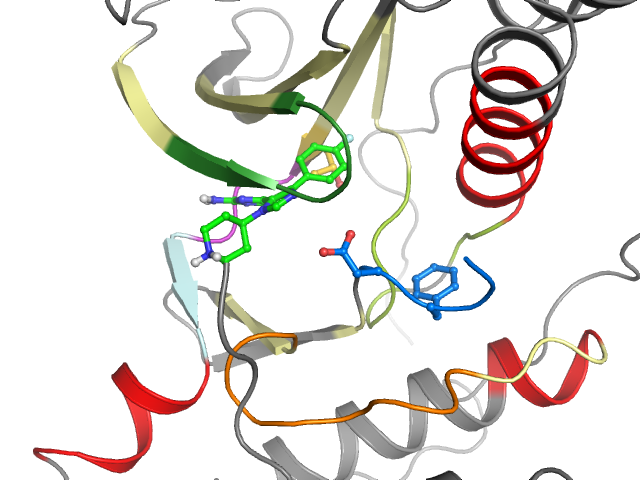 The orthosteric binding pocket
