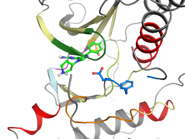 The orthosteric binding pocket