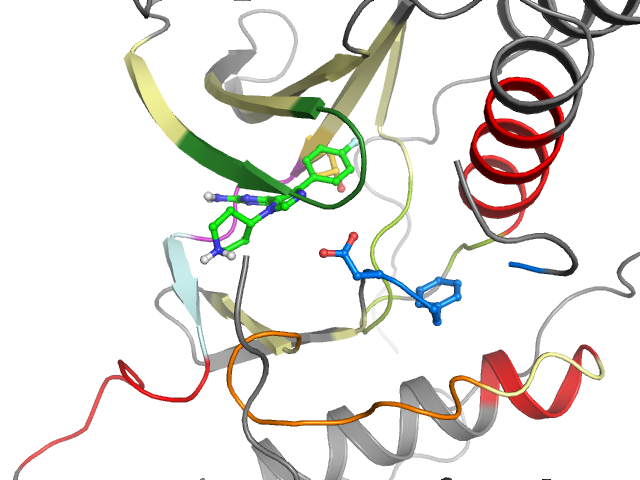 The orthosteric binding pocket