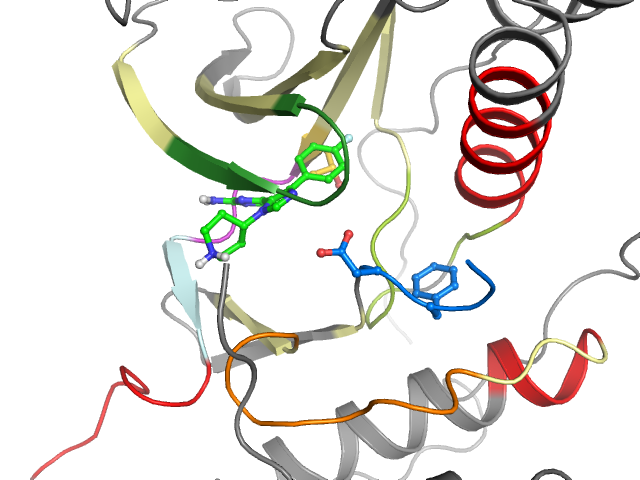 The orthosteric binding pocket