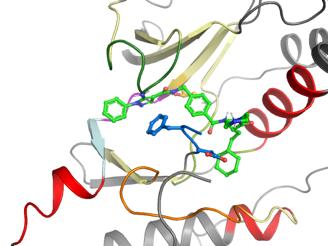 The orthosteric binding pocket