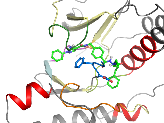 The orthosteric binding pocket