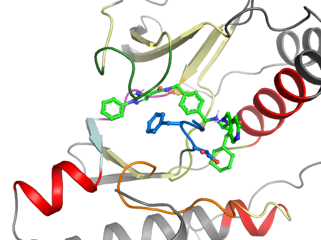 The orthosteric binding pocket