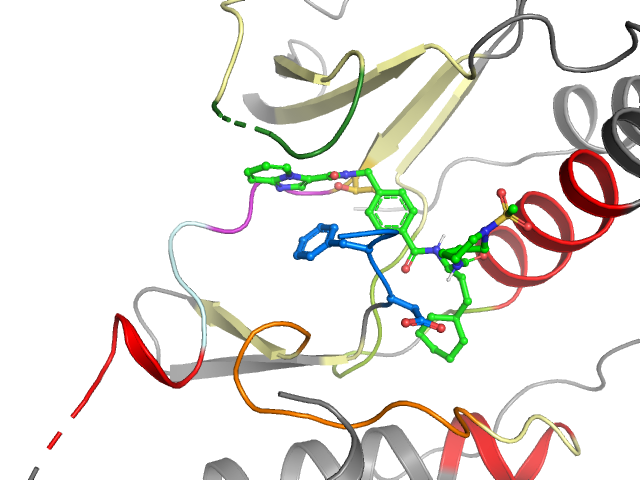 The orthosteric binding pocket