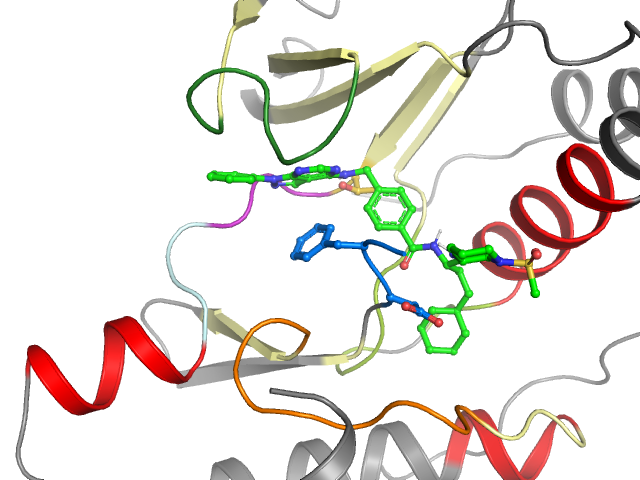 The orthosteric binding pocket