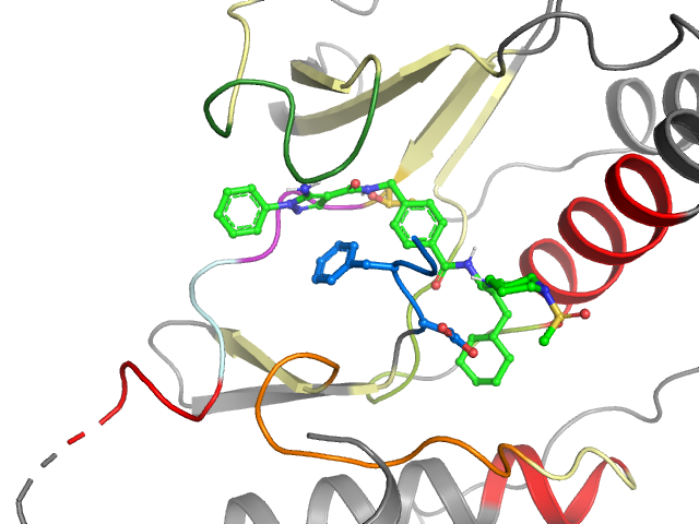 The orthosteric binding pocket