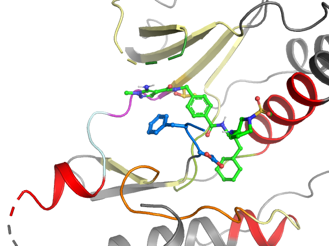 The orthosteric binding pocket