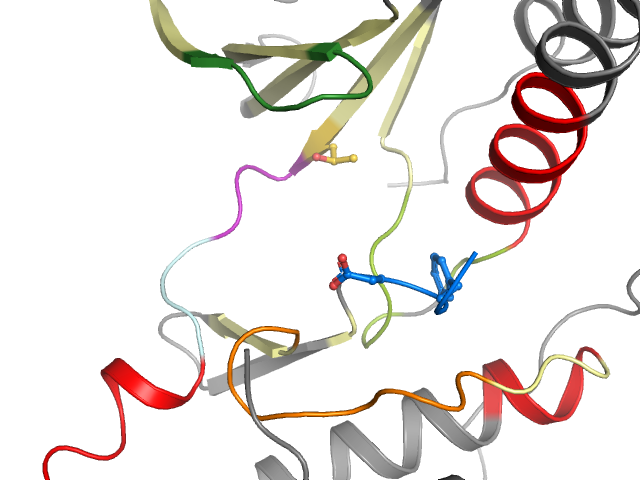 The orthosteric binding pocket