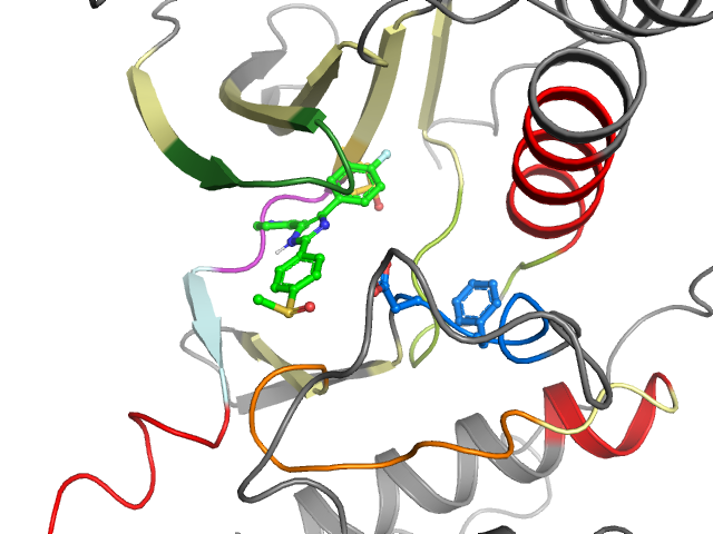The orthosteric binding pocket