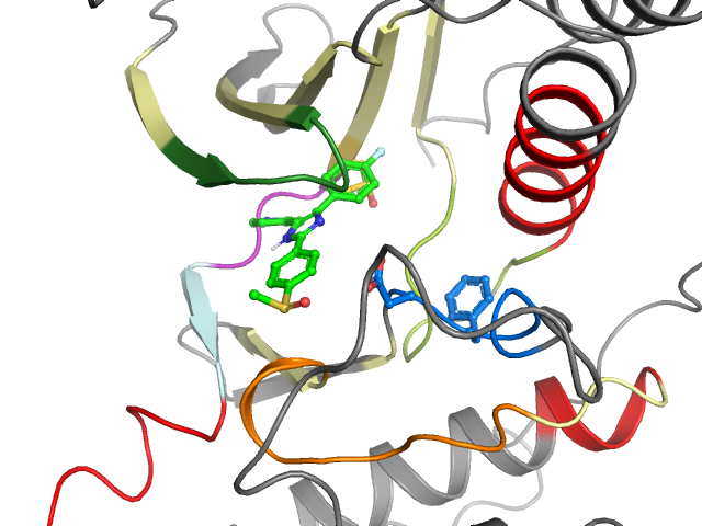 The orthosteric binding pocket