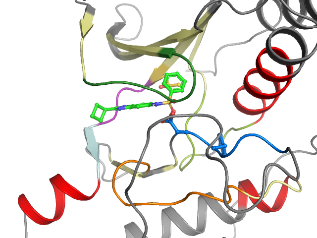 The orthosteric binding pocket