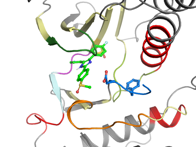 The orthosteric binding pocket