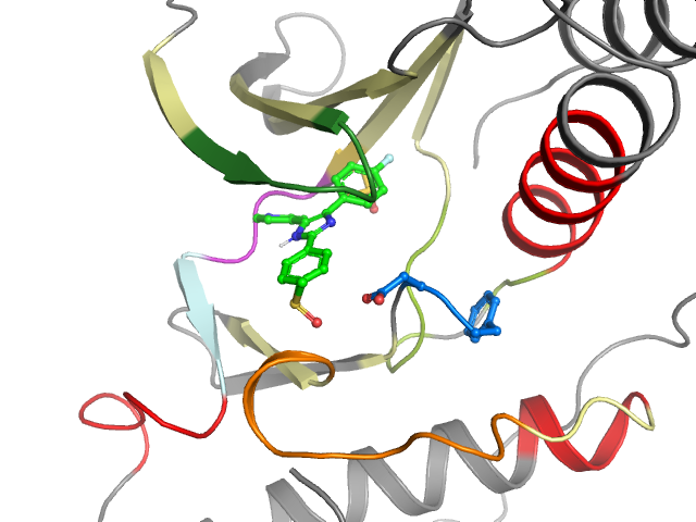 The orthosteric binding pocket