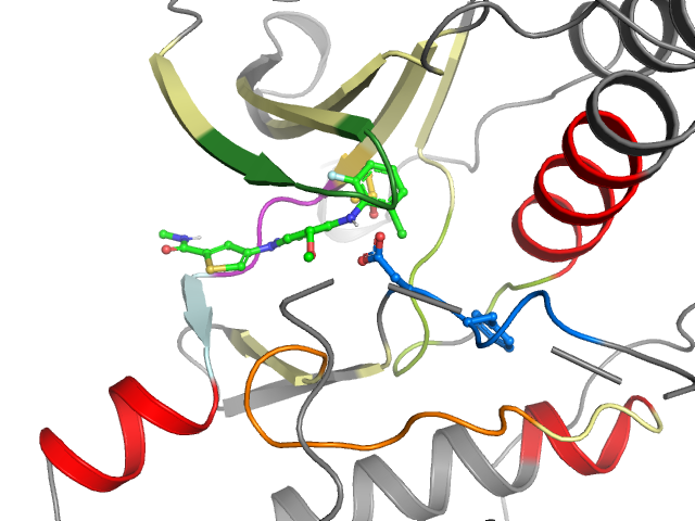 The orthosteric binding pocket